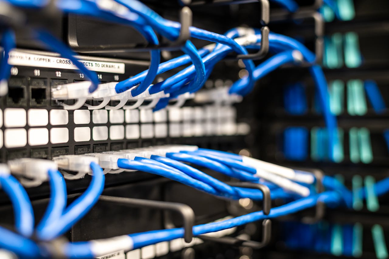 team-01 Blue plastic wires with white tips connected to server and provide access to information